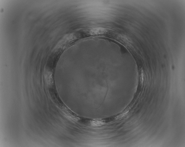 X0000067390327200604031039