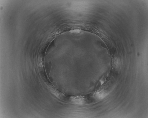 X0000067390331200604031039