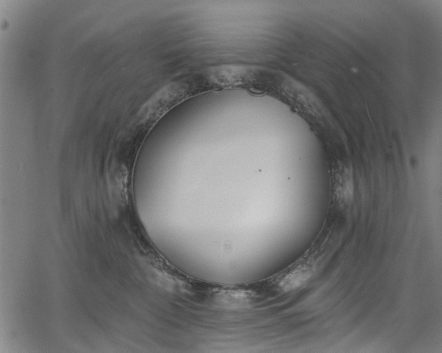 X0000067390332200604031039