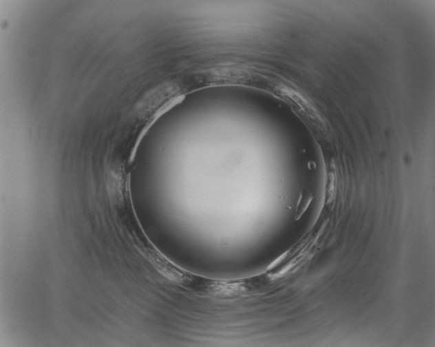 X0000067390333200604031039