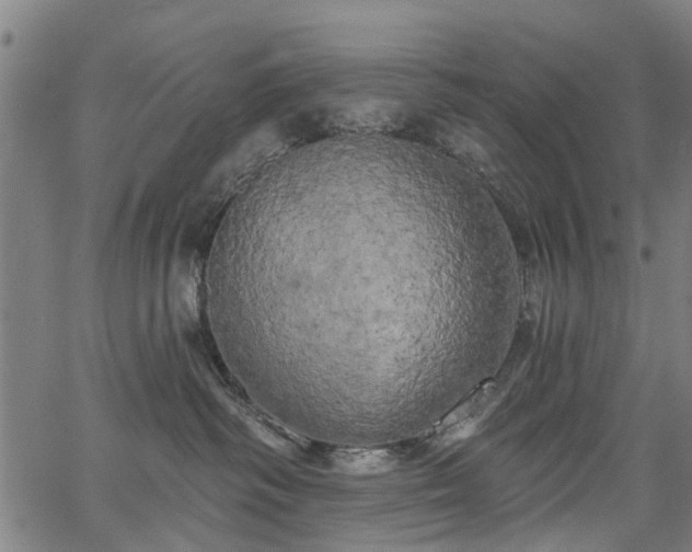 X0000067390334200604031039