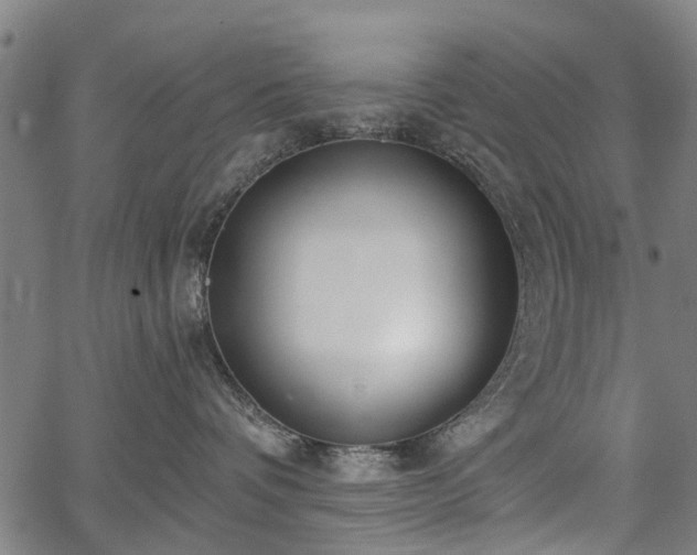 X0000067390336200604031039