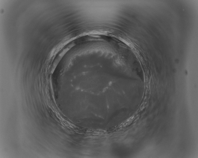 X0000067390337200604031038