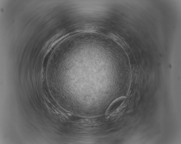 X0000067390338200604031038