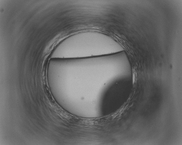 X0000067390339200604031038