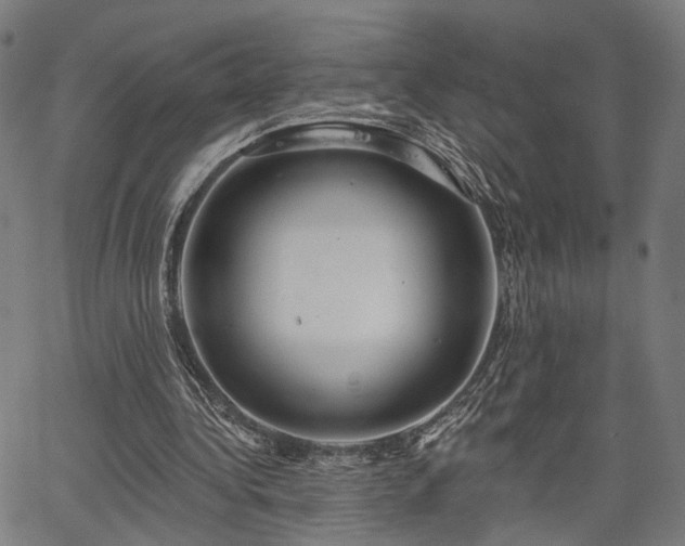 X0000067390340200604031038