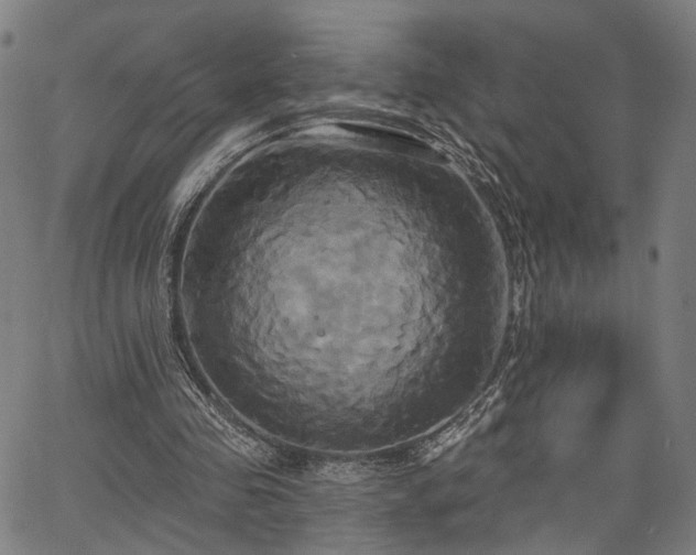 X0000067390341200604031038