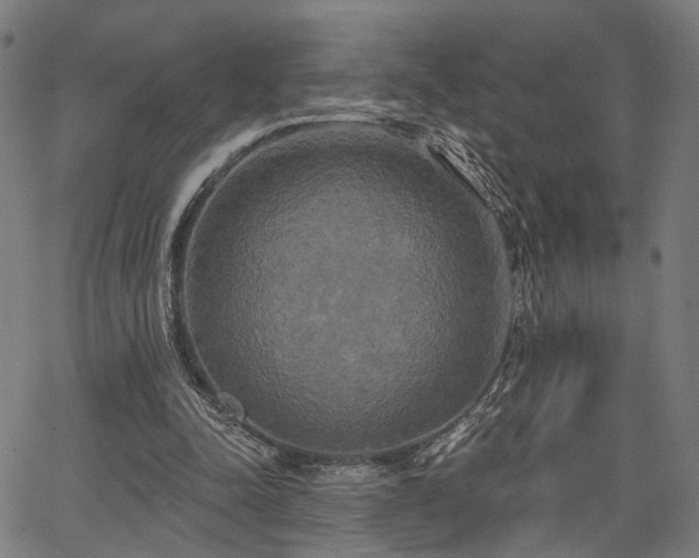 X0000067390342200604031038