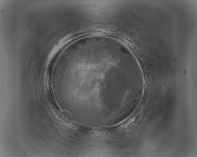 X0000067390343200604031038