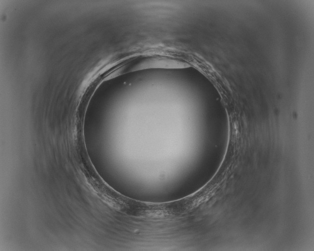 X0000067390344200604031038