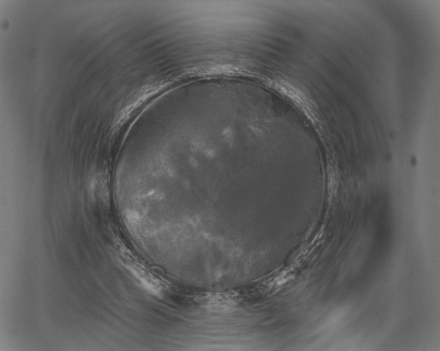 X0000067390345200604031038