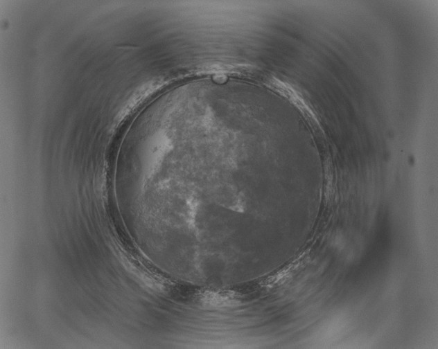 X0000067390346200604031038