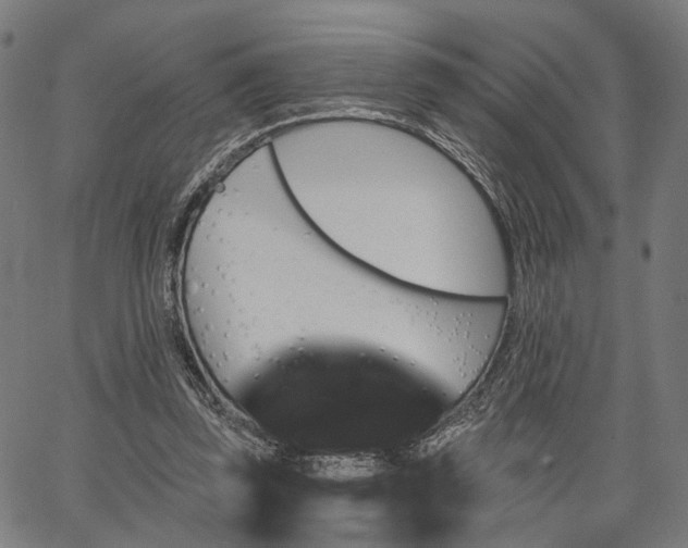 X0000067390347200604031038