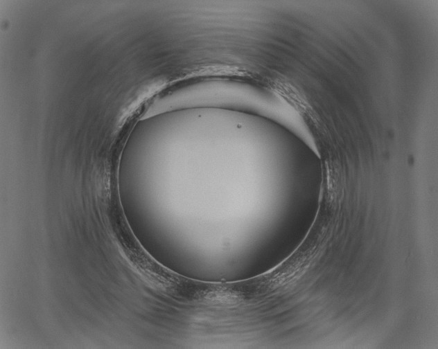 X0000067390348200604031038