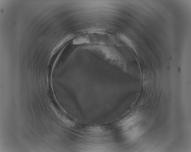 X0000067390349200604031038