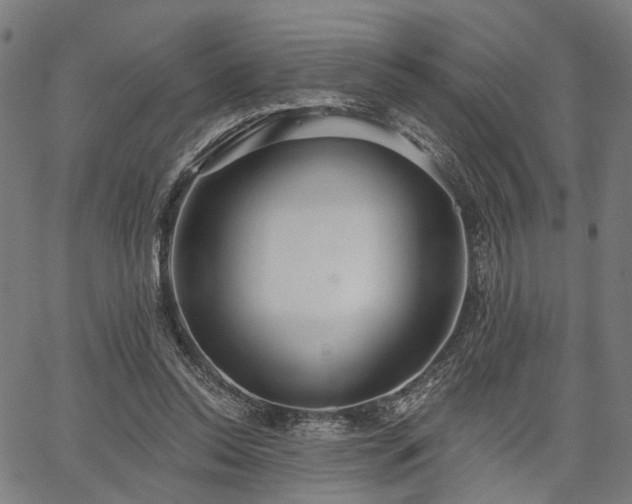 X0000067390350200604031038