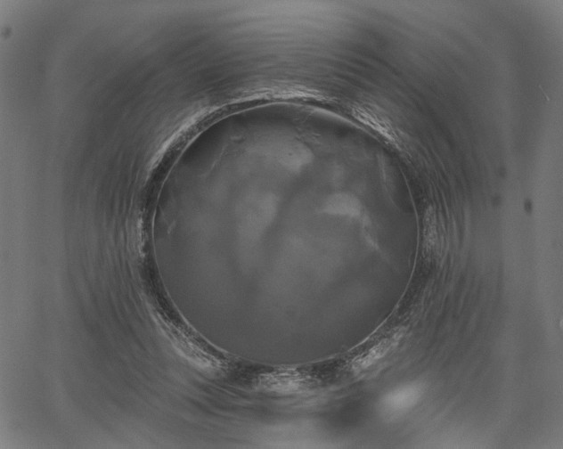 X0000067390351200604031038