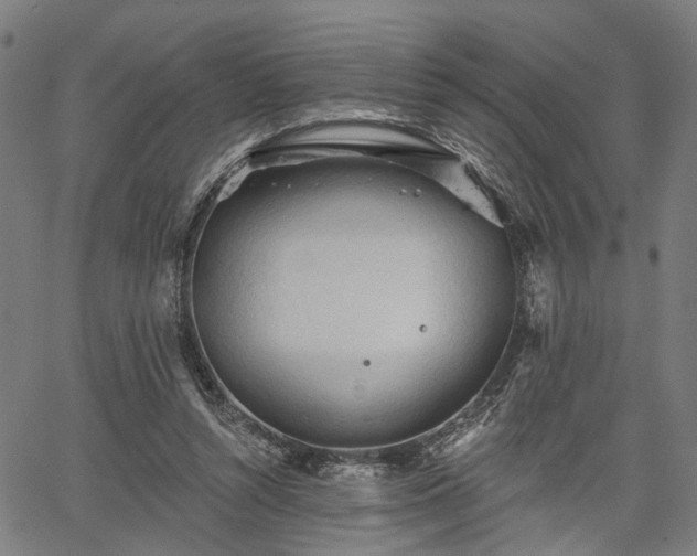 X0000067390352200604031038