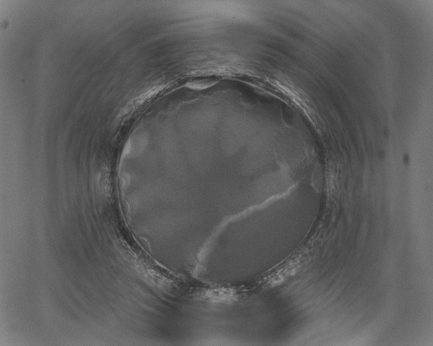 X0000067390353200604031038