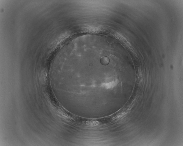 X0000067390355200604031038