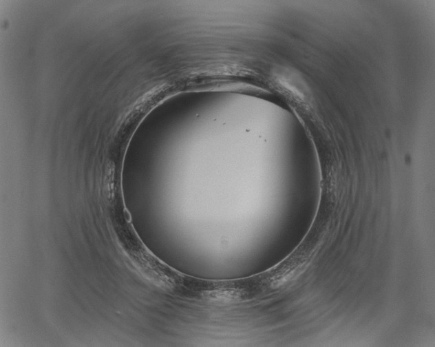 X0000067390356200604031038