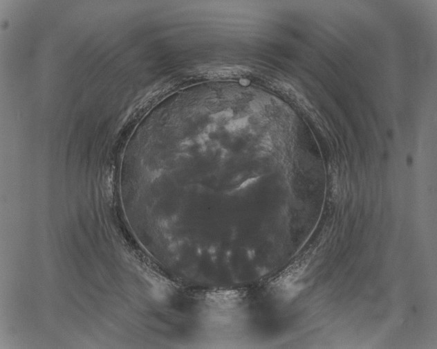 X0000067390357200604031038