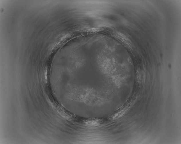 X0000067390358200604031038