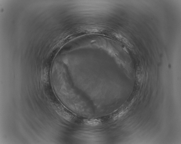 X0000067390359200604031038