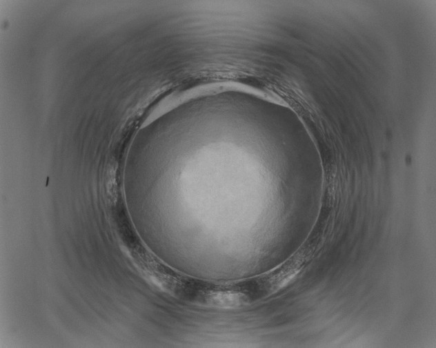 X0000067390360200604031038