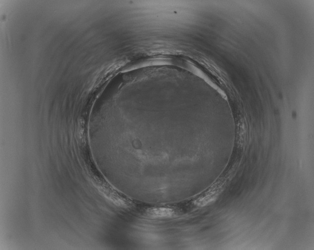 X0000067390361200604031038