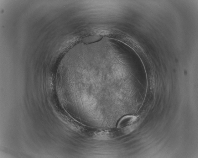 X0000067390362200604031038