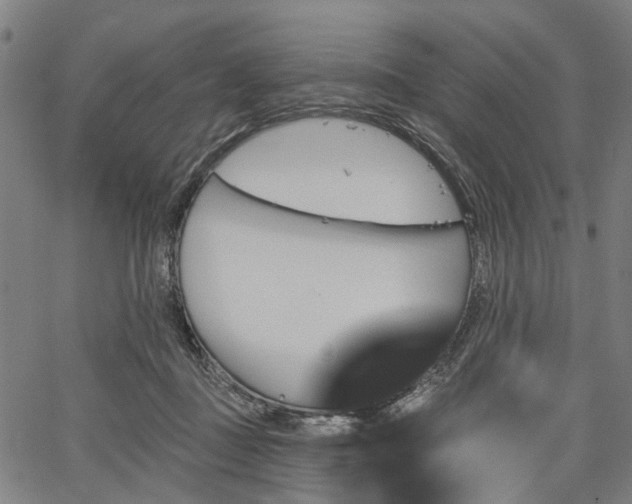 X0000067390363200604031038