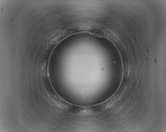 X0000067390364200604031038