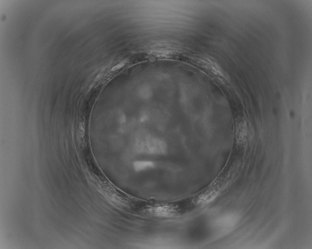 X0000067390365200604031038