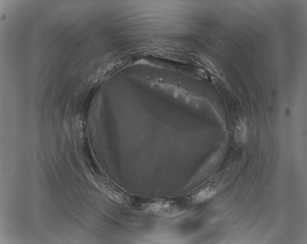 X0000067390366200604031038