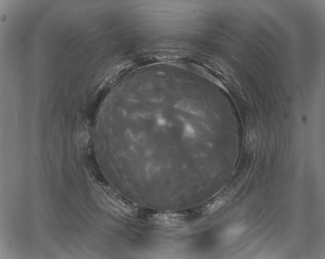 X0000067390367200604031038