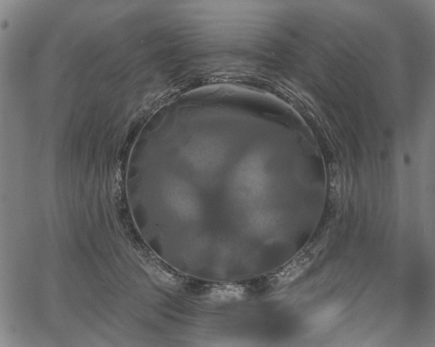 X0000067390369200604031038