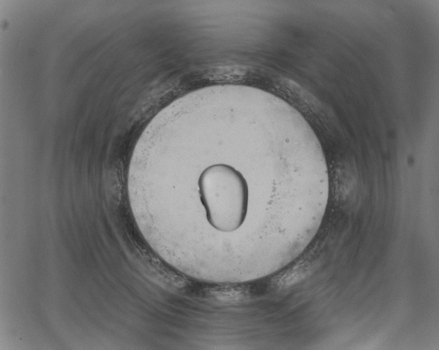 X0000067390370200604031038