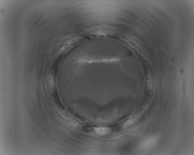 X0000067390371200604031039