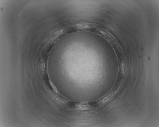 X0000067390372200604031039