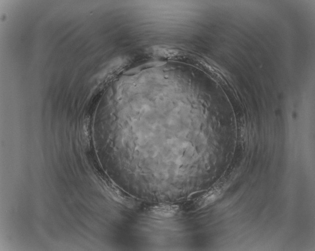 X0000067390373200604031039