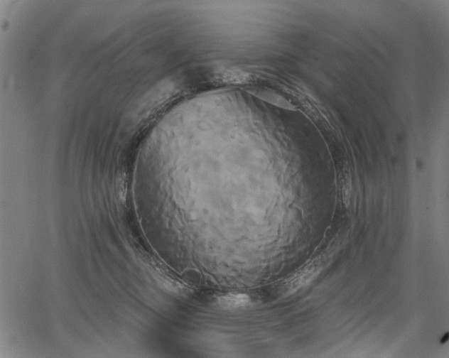 X0000067390374200604031039