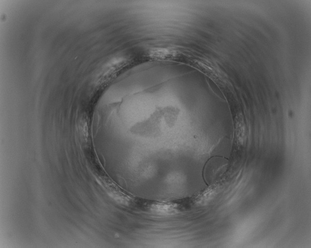 X0000067390375200604031039