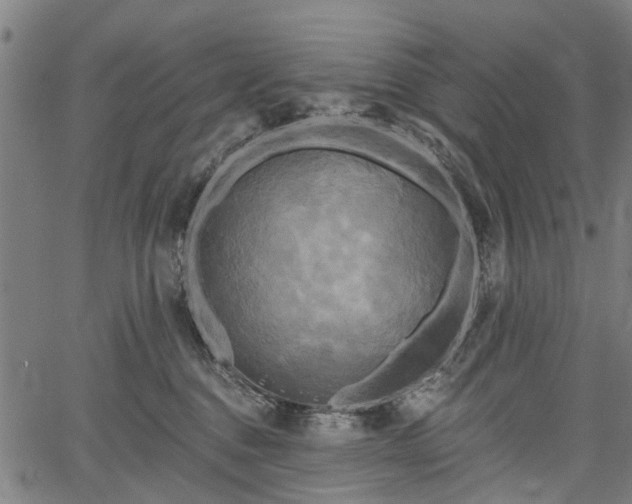 X0000067390376200604031039