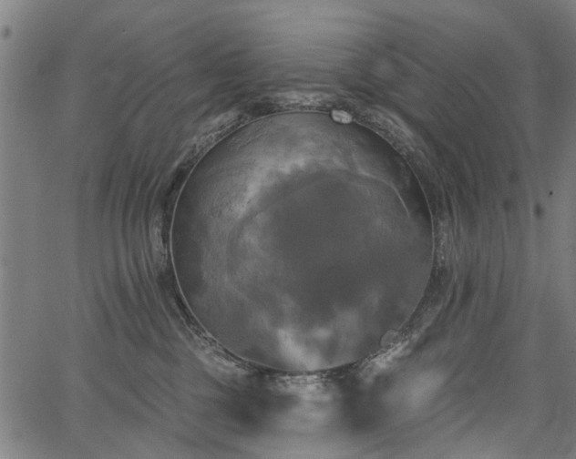 X0000067390377200604031039