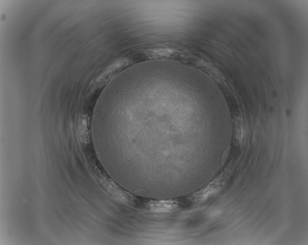 X0000067390378200604031039