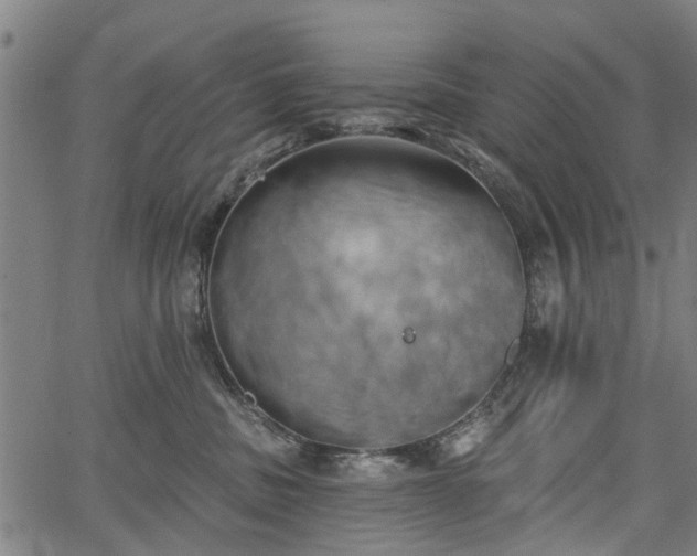 X0000067390379200604031039