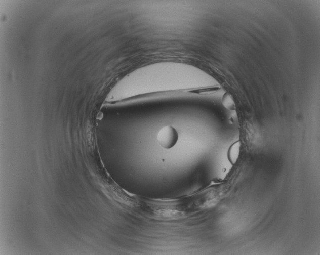 X0000067390380200604031039