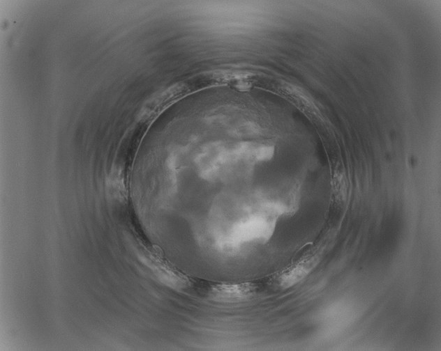 X0000067390381200604031039