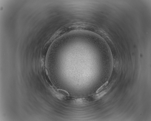 X0000067390382200604031039